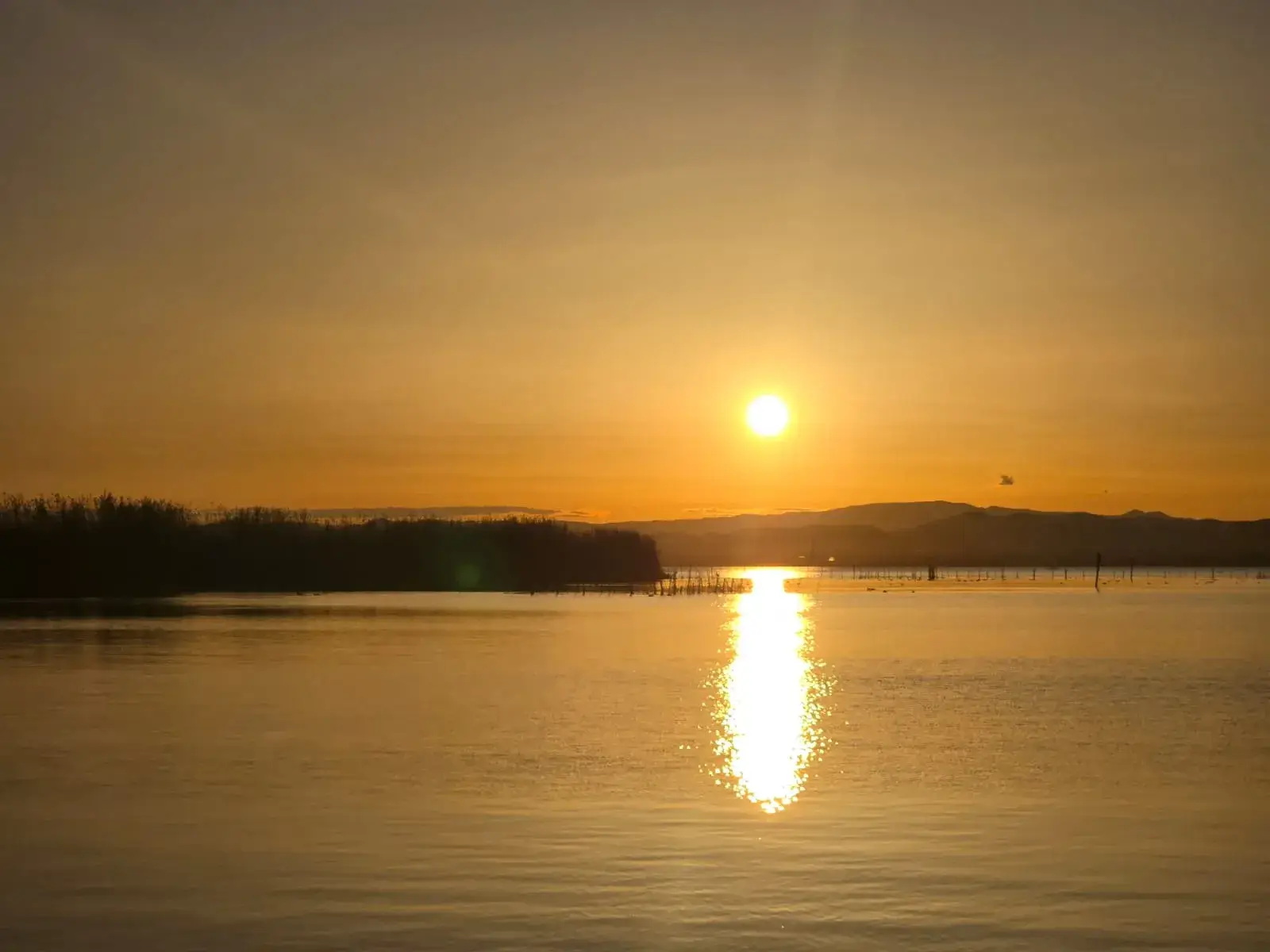 Atardecer dorado reflejándose en la laguna de la Albufera