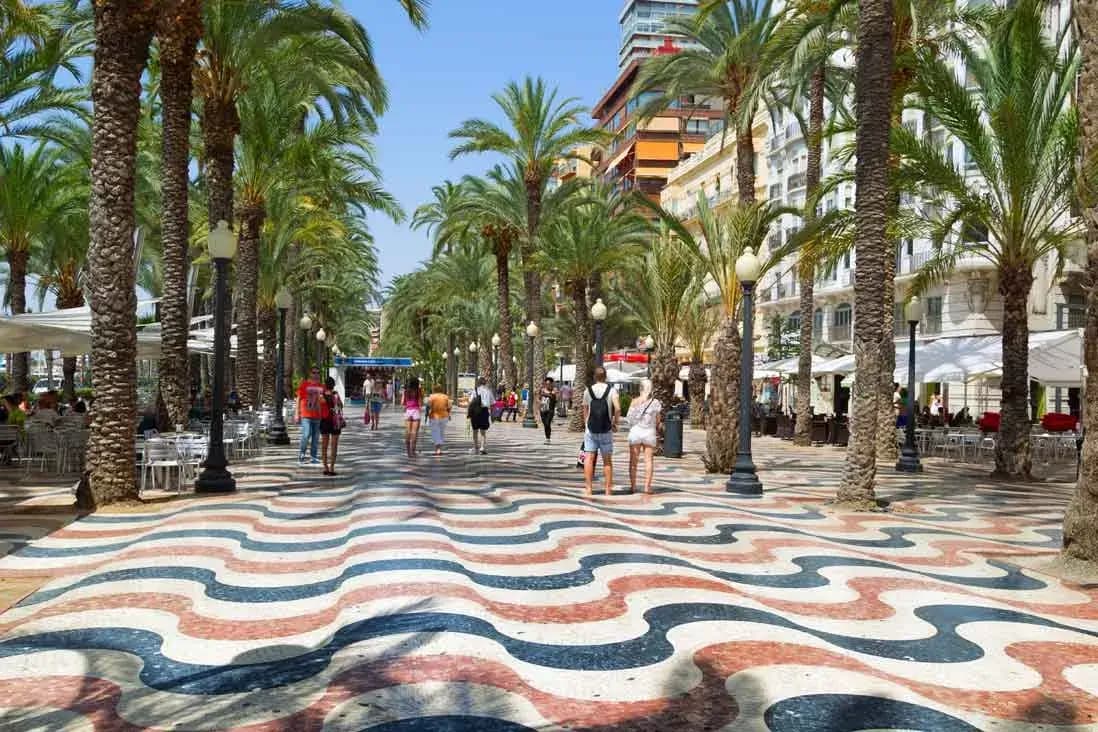 Paseo de mosaico con ondas bordeado de palmeras en Alicante